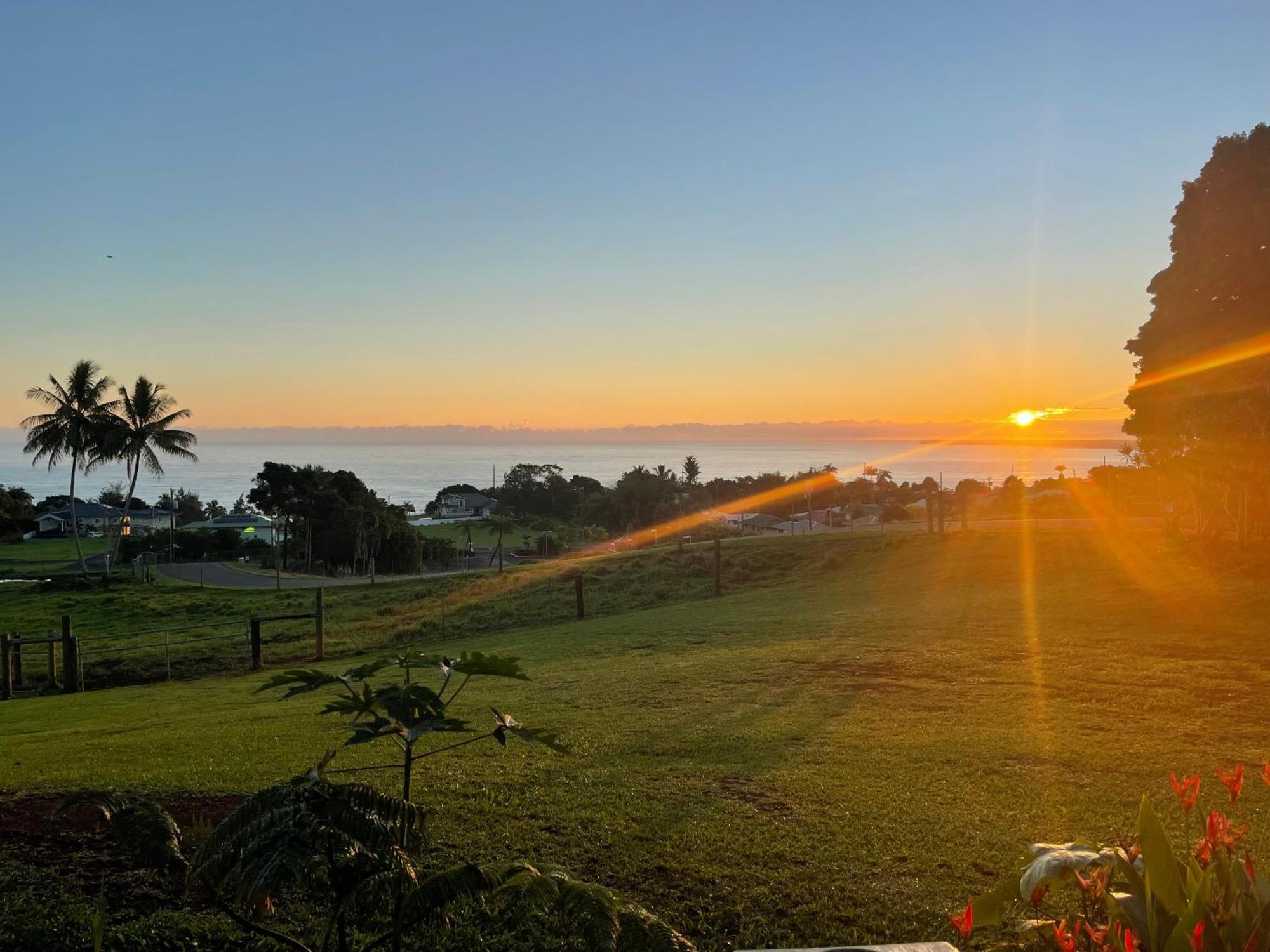 Hawaii Magic Skies Farmstay Paukaa Exteriér fotografie