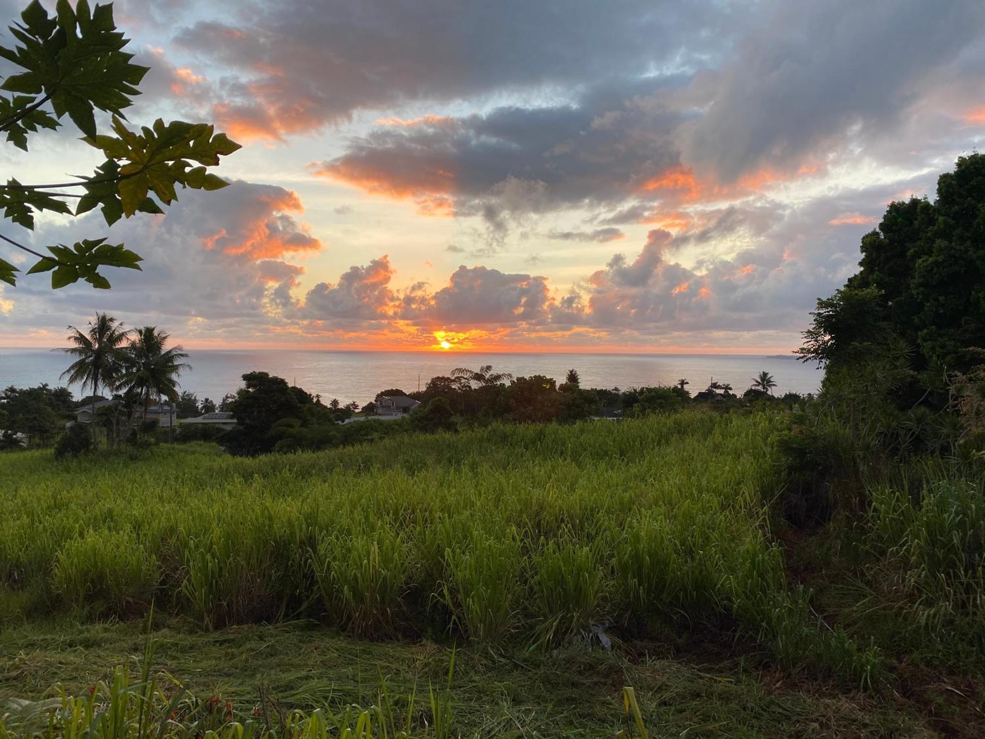 Hawaii Magic Skies Farmstay Paukaa Exteriér fotografie