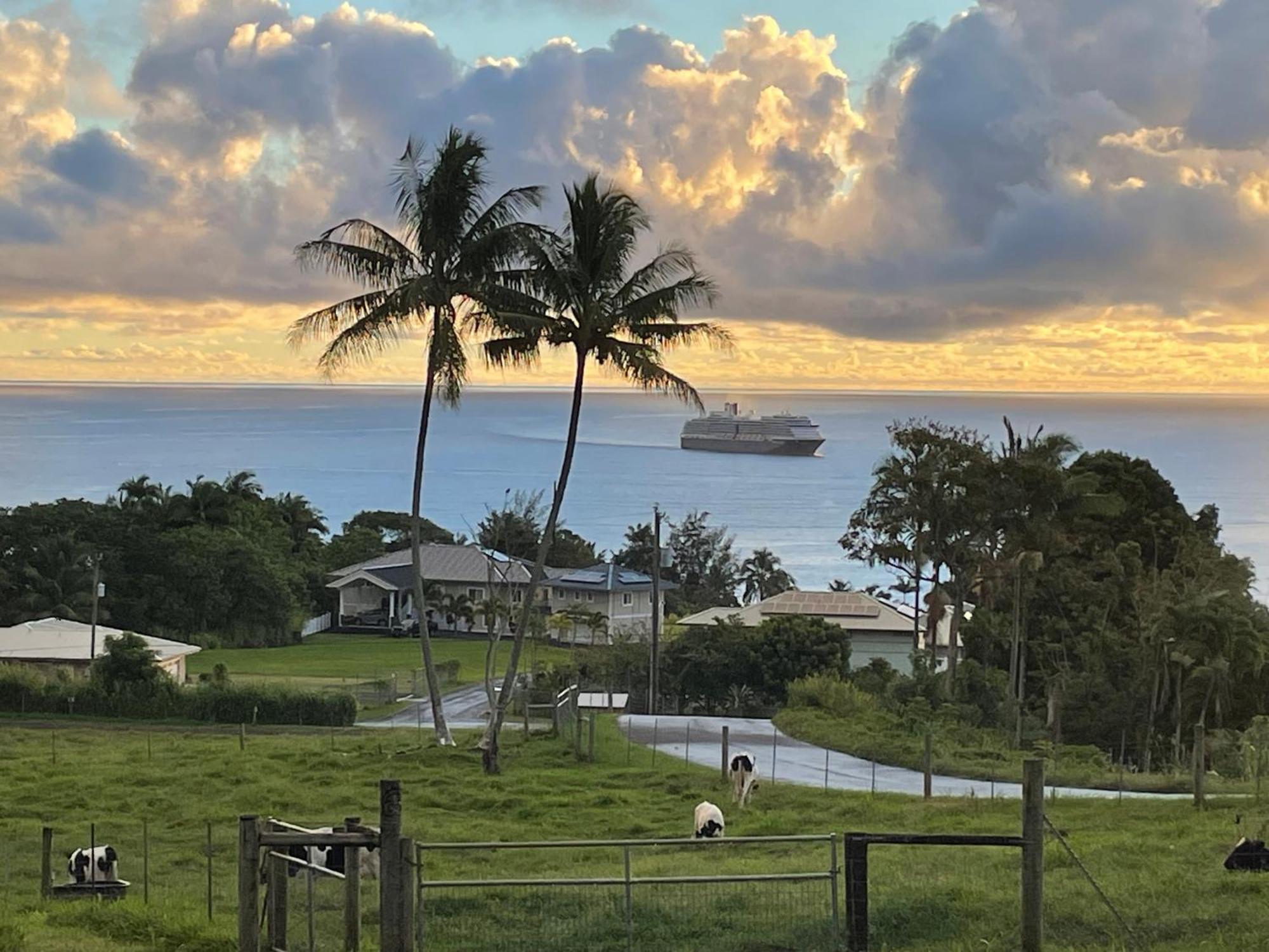 Hawaii Magic Skies Farmstay Paukaa Exteriér fotografie