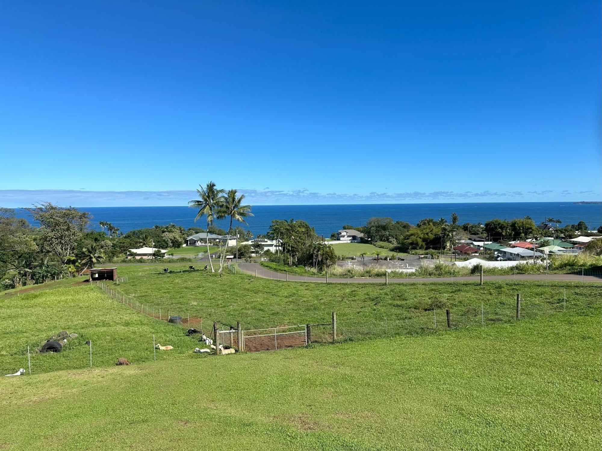 Hawaii Magic Skies Farmstay Paukaa Exteriér fotografie