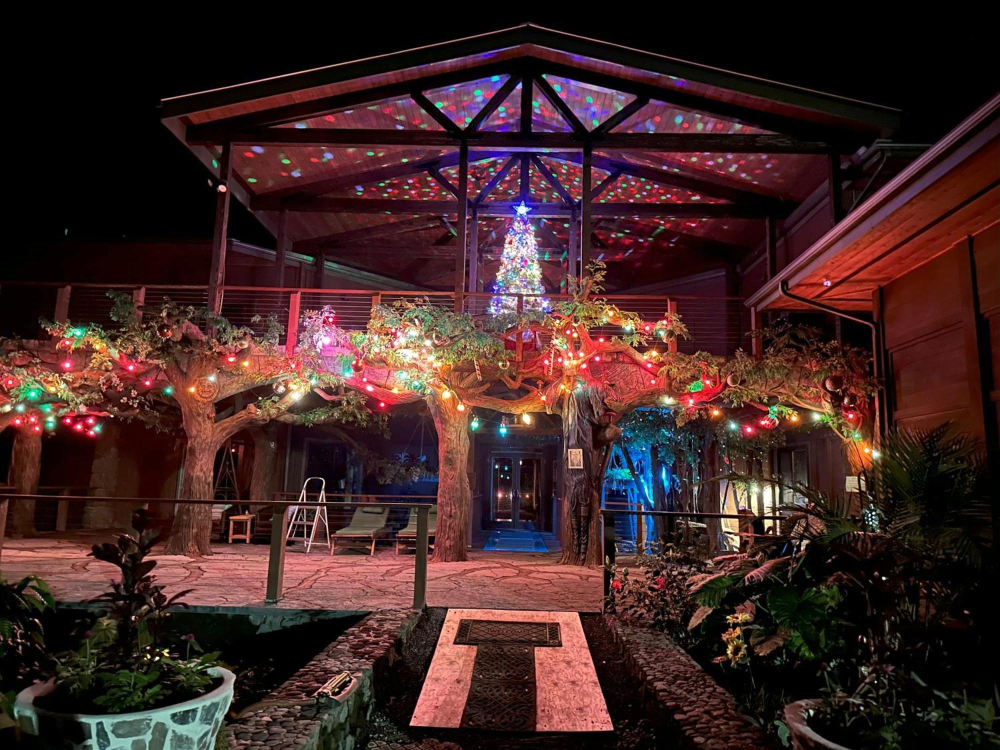 Hawaii Magic Skies Farmstay Paukaa Exteriér fotografie